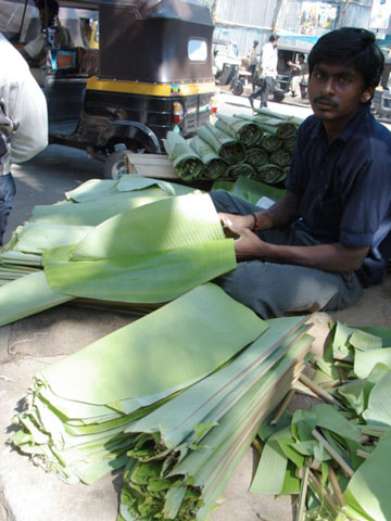 DSC00638-plates.JPG