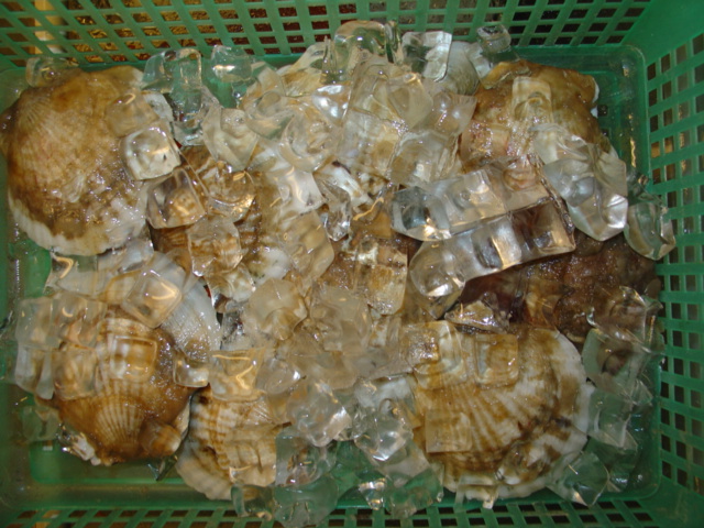 DSC02844.JPG