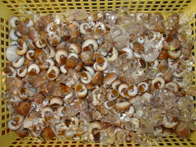 DSC02845.JPG