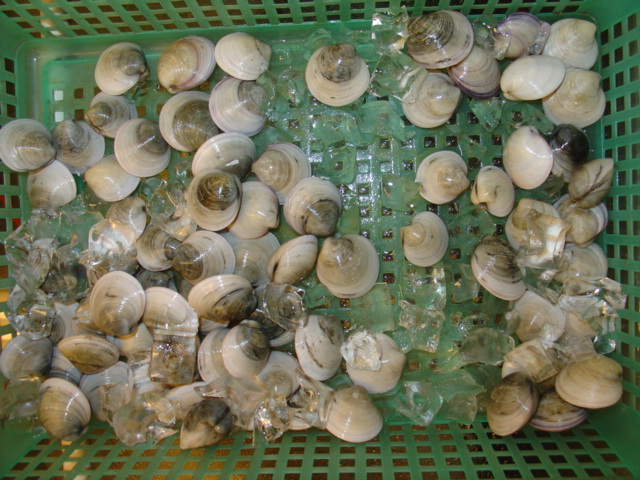 DSC02846.JPG