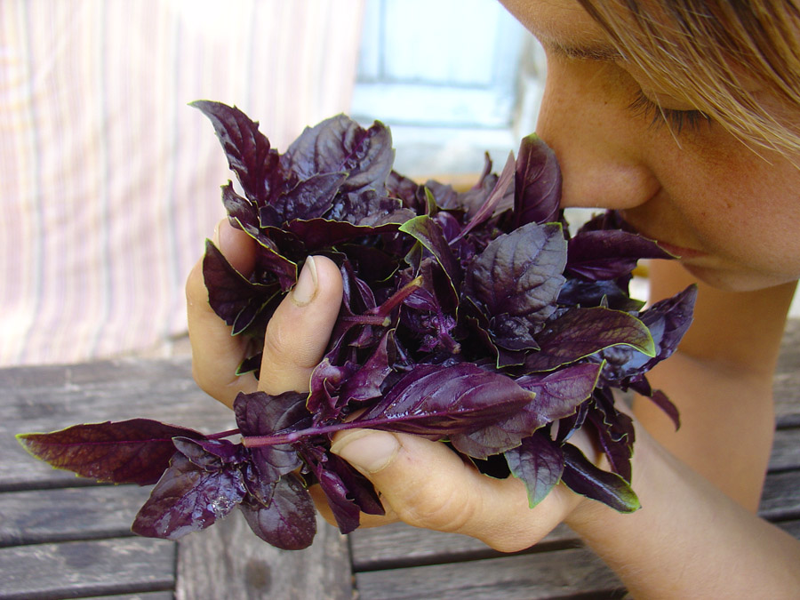 Julie smells the basil