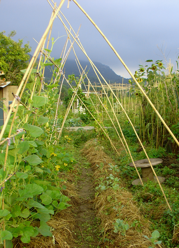 View from vertical garden into the upper kitchen garden just seconds before cloudbreak