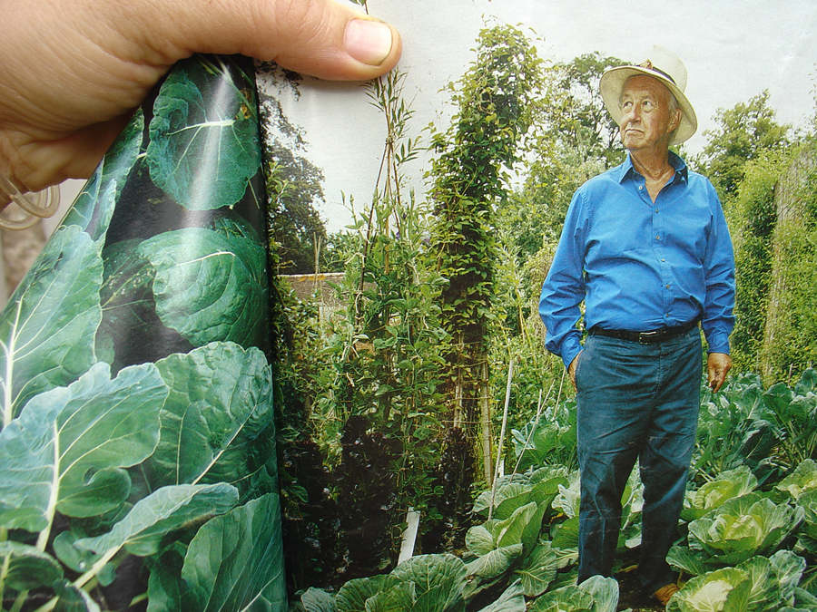 Photographs of a photograph of Terrance Conran and his cabbages by Peter Dench Â© Telegraph Magazine 