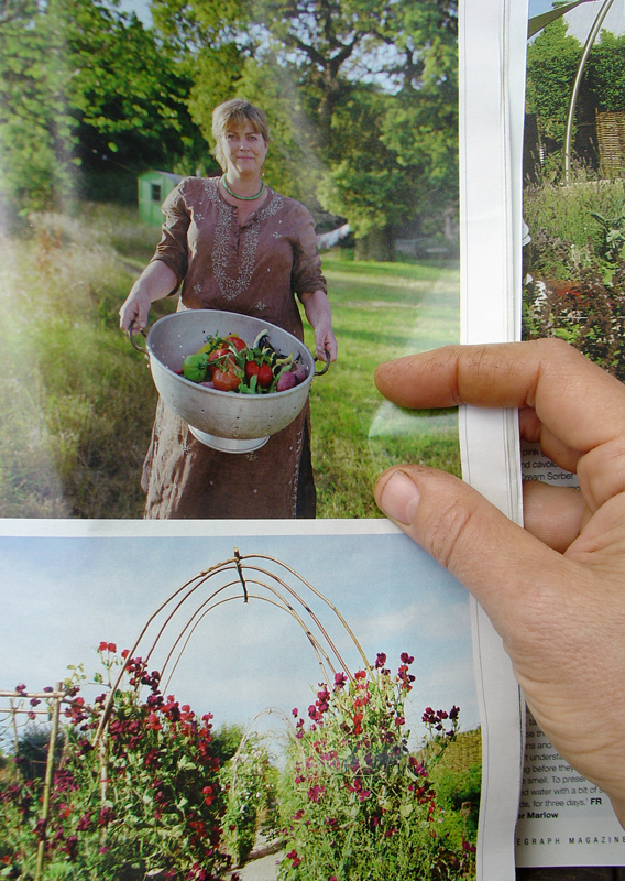 Photograph of a photograph of Sarah Raven and her funky archway that curiously resembles mine by Tara Darby Â© Telegraph Magazine