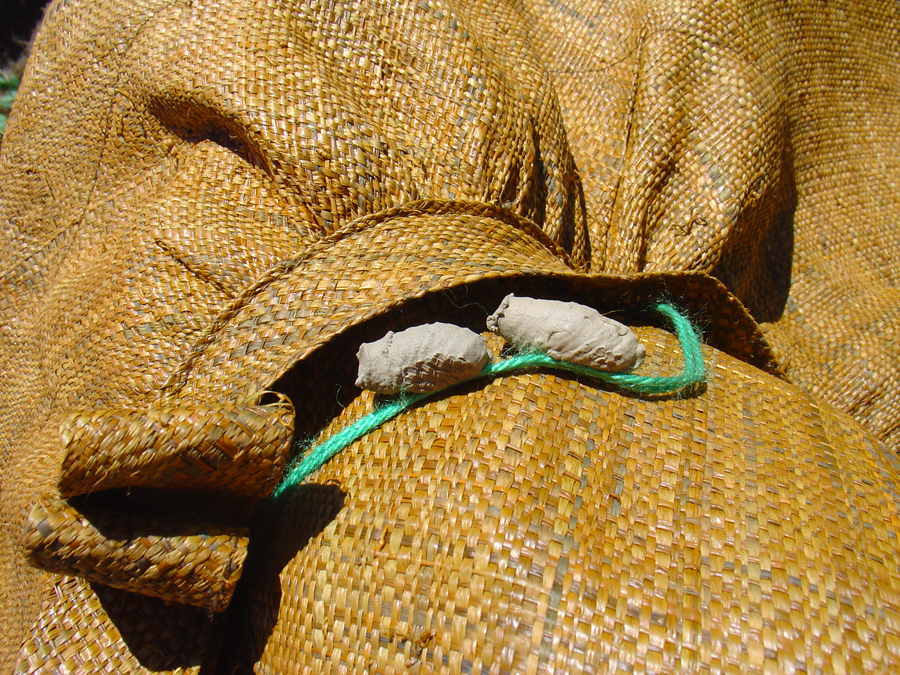 Wasp larvae housing occupying my garden hat