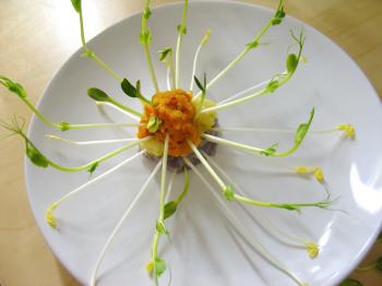 vanderplas sprouts at the sprout restaurant - culiblog