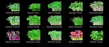 the Koppert Cress selection