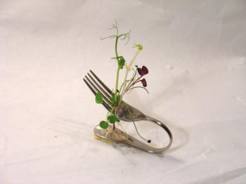 Debra Solomon's Amazing Sprout Ikebana Contest (Grow Yer Own Dang Food micro-green cuisine restaurant at the Mediamatic Night Garden Nov 4, 2006 - Jan 7, 2007