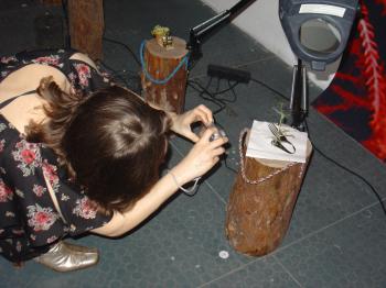 Debra Solomon's Amazing Sprout Ikebana Contest (Grow Yer Own Dang Food micro-green cuisine restaurant at the Mediamatic Night Garden Nov 4, 2006 - Jan 7, 2007