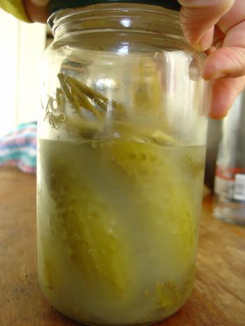 anita lozinska's pickles