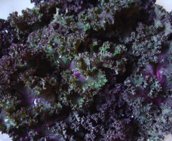 black kale