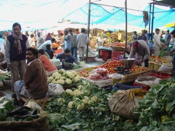 Cauliflower salesmen at Delhi's Subzi Mandi