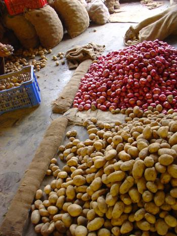 Burlap potato barriers at Delhi's Sabzi Mandi