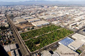 South Central Farms - aerial shot, used courtesy of South Central Farmers