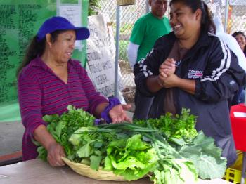 South Central Farms - courtesy of South Central Farmers