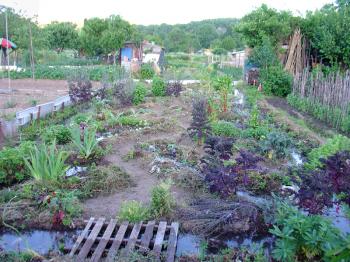 Dijkbreak in the Occitanian kitchen garden