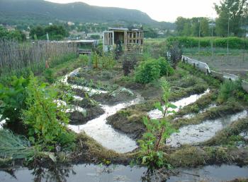 Dijkbreak in the Occitanian kitchen garden