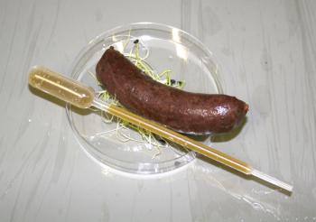 The Art & Genomics Centre and the Centraal Museum Utrecht present: Food, Art & Science symposium with controversial snacks: blood sausage with apple pipette