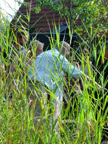 Nature lesson in the reeds