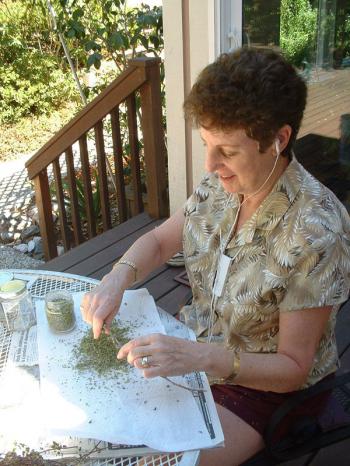 Mom bagging the trim.