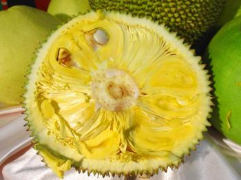 jackfruit from malaysia