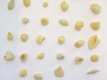 Valentina de Lorenzis pasta typologies