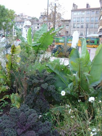 urban agriculture in Saint-Etienne