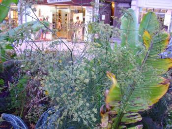 urban agriculture in Saint-Etienne