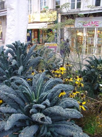 Urban agriculture in Saint-Etienne