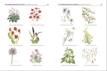 The flowering heritage of Palestine, herbarium courtesy of the Khalil Sakakini Cultural Centre, from the Subjective Atlas of Palestine, by Annelys de Vet