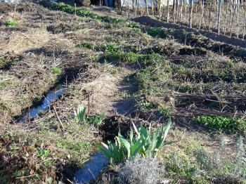 The upper kitchen garden and its piles of organic material. Culiblog.org