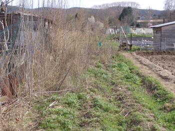 The lower Occitanian kitchen garden, before picture