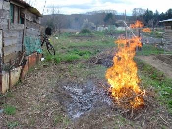 Potager au feu, Occitanian kitchen garden is a hot mess