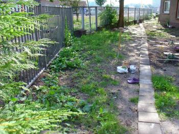 Kitchen garden in Amsterdam Noord - Debra Solomon / culiblog.org