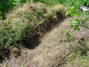 Harvesting the alfalfa hay roll for mulch, Debra Solomon, culiblog.org