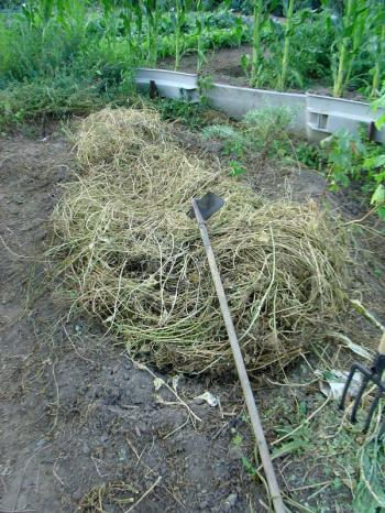 I harvest hay and my neighbour harvests vegetables, Debra Solomon, culiblog.org