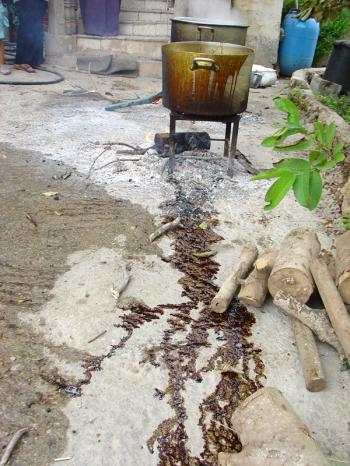 Saosan making carob syrup in Ayn Hawd, Debra Solomon, culiblog.org