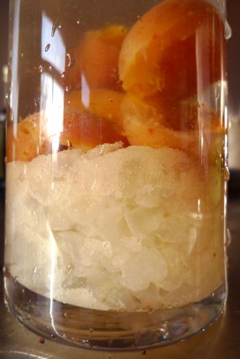 A visual recipe: water kefir grains, sugar, dried apricots and lemon and two days of fermentation, Debra Solomon, culiblog.org