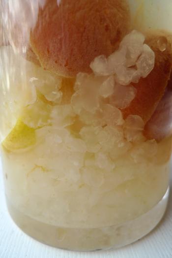 A visual recipe: water kefir grains, sugar, dried apricots and lemon and two days of fermentation, Debra Solomon, culiblog.org