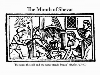 The month of Shvat, from the 1722 Amsterdam edition of the Book of Customs, now adapted by Scott-Martin Kosofsky, Debra Solomon, culiblog.org