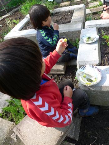 The childrens' table at Slim Pickins' restaurant opening, Debra Solomon, culiblog