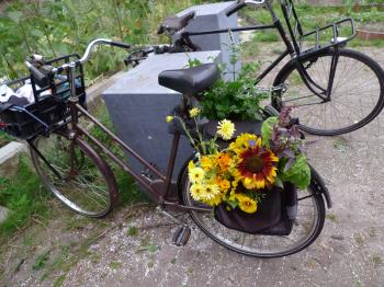 Bouquet bike, Debra Solomon, culiblog.org