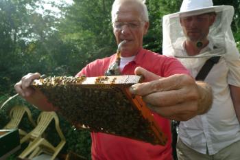 Beekeeper smokes and searches for the Queen, Debra Solomon, culiblog.org