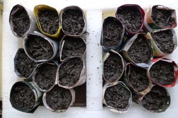 Seedling pots made with paper from junk mail, Debra Solomon, culiblog.org