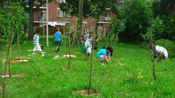 Foodscape Schilderswijk: Kids planting plum trees in the Wellington Hof in the Hague's Schilderswijk, URBANIAHOEVE Social Design Lab for Urban Agriculture, Debra Solomon