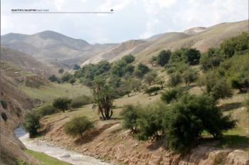 Beautiful Palestine, Majdi Hadid, from the Subjective Atlas of Palestine, by Annelys de Vet