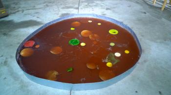 Michel Blazy's Jus de Nympheas at the EntrepÃ´ts Bellevue - Greenhouse, Saint-Ã?tienne, Debra Solomon, culiblog.org