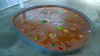 Michel Blazy's Jus de Nympheas at the EntrepÃ´ts Bellevue - Greenhouse, Saint-Ã?tienne, Debra Solomon, culiblog.org