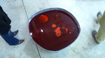 Michel Blazy's Jus de Nympheas at the EntrepÃ´ts Bellevue - Greenhouse, Saint-Ã?tienne, Debra Solomon, culiblog.org
